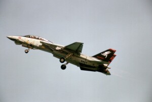 F-14, an agile goliath